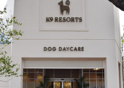 K-9 Resort Luxury Day Care